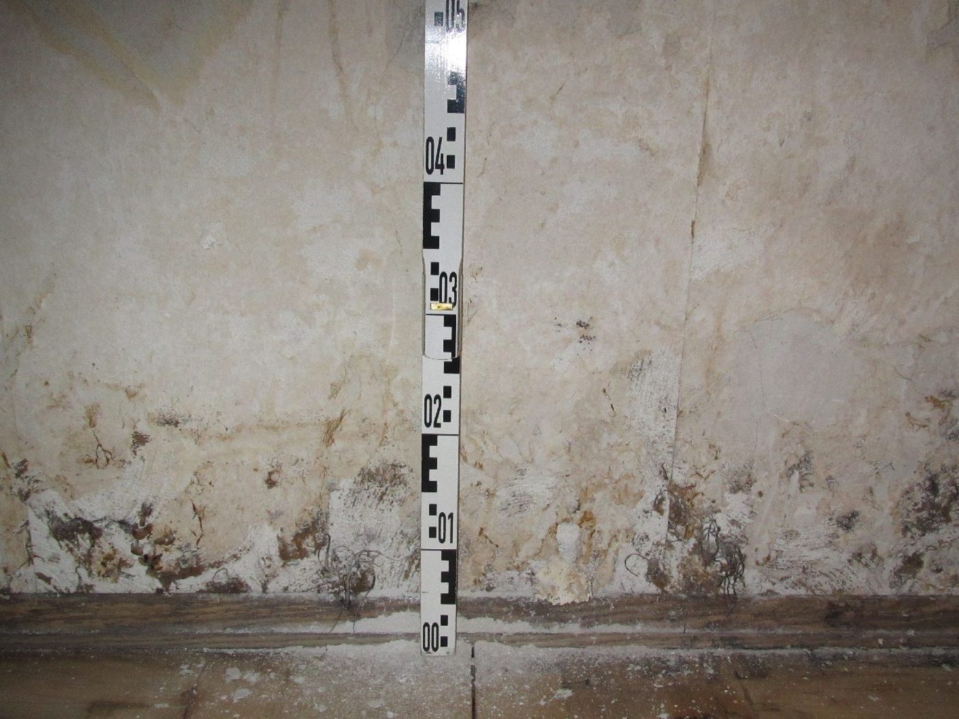 Schimmelbefall an einer Kellerwand mit angelegtem Messstab